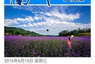 怎样爆料南川新闻,如何成为信息先锋