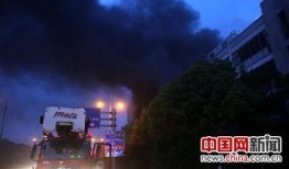 义乌火灾最新爆料荷叶塘,荷叶塘火灾事件深度解析