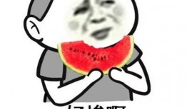 吃瓜娱乐文案句子搞笑版,盘点那些让人捧腹大笑的吃瓜娱乐文案