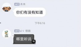 圈内爆料人为什么那么多,圈内爆料人层出不穷的背后原因